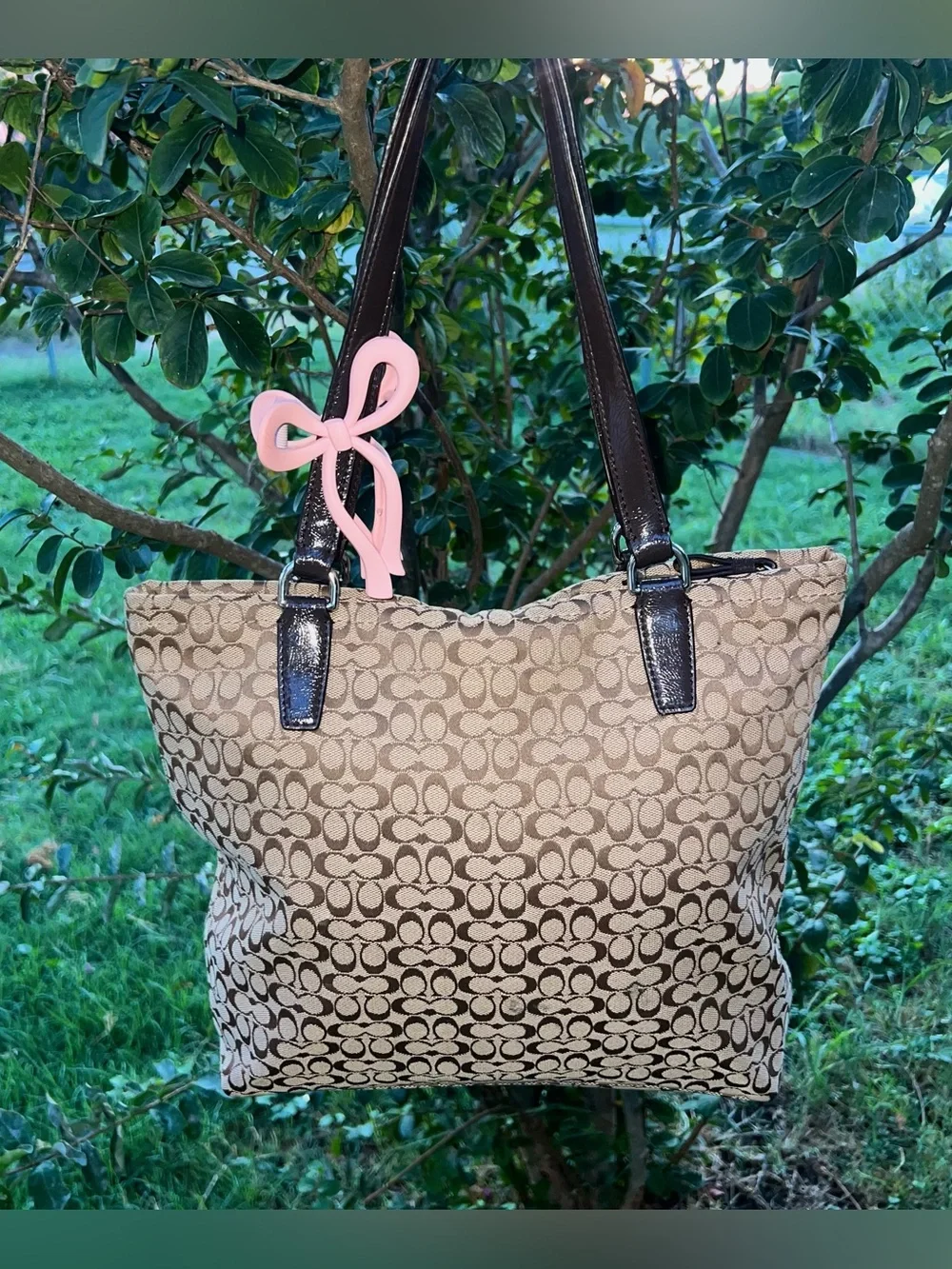 Coach F27008 Signature Brown Stripe Tote Shoulder Bag Y2K
